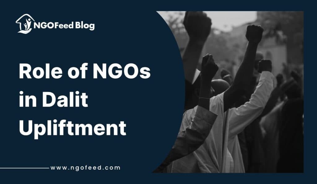 Role of NGOs in Dalit Upliftment: Work, Importance, Challenges, Human Rights, etc.